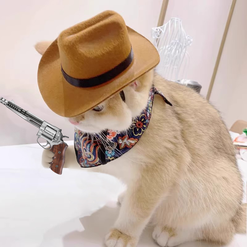  Cat Cowboy Hat Pet Head Acce - Cowboy Hat Straw บทวิจารณ์และราคา